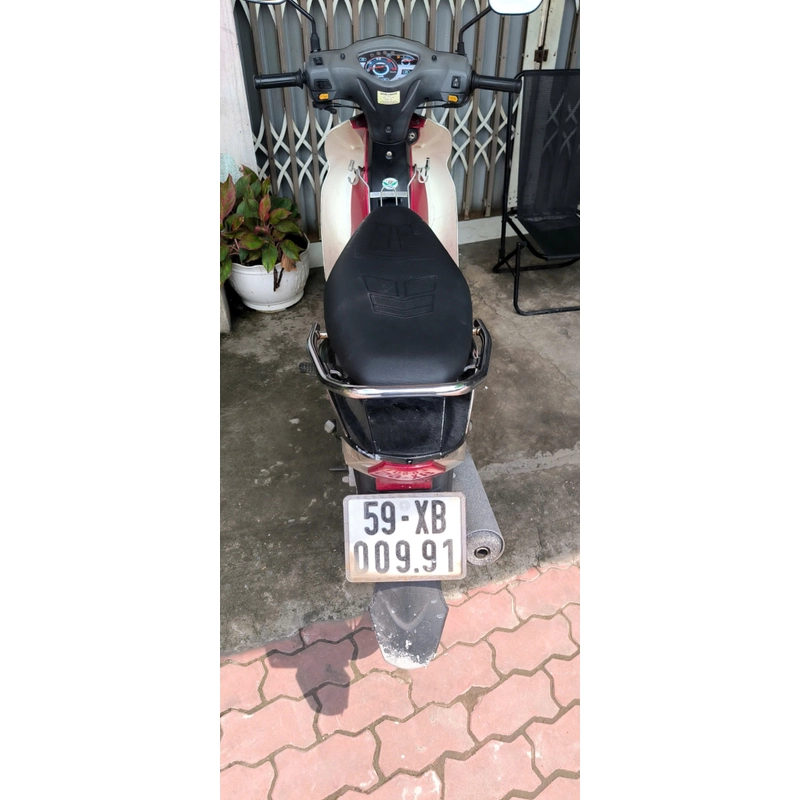 SYM Elegant 50cc BSTP máy zin êm cho học sinh 300170