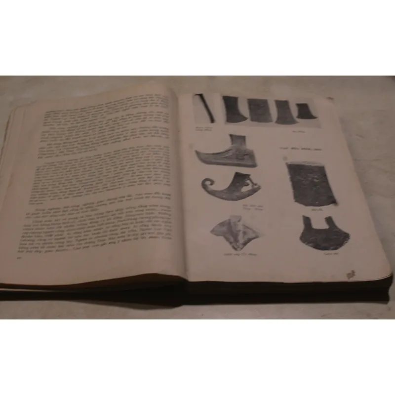 Lịch sử Việt Nam tập 1 994258