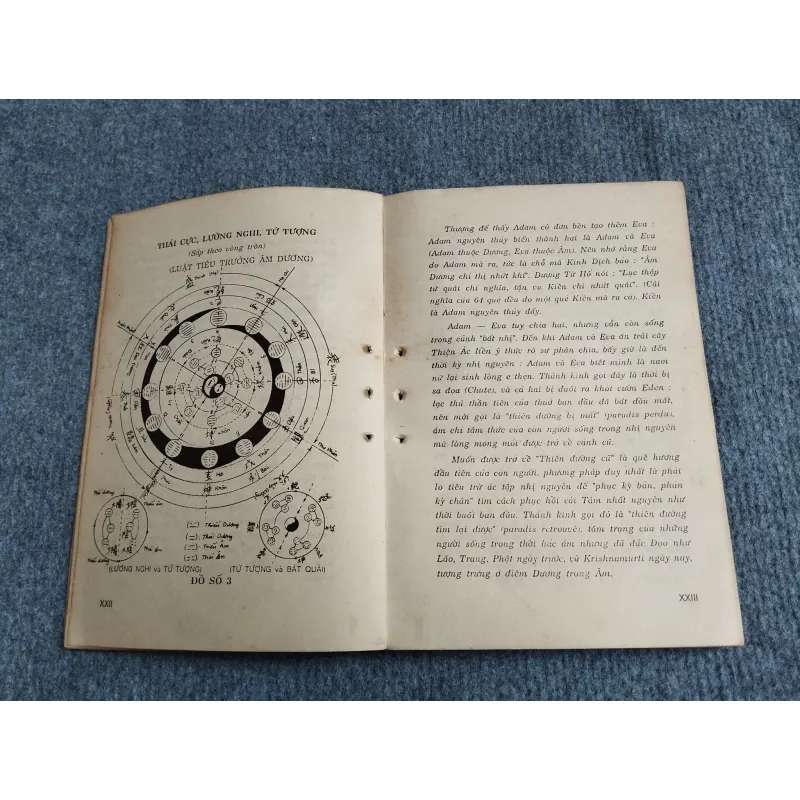 CHU DỊCH HUYỀN GIẢI 701907