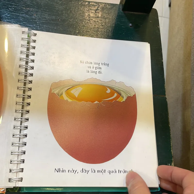 Những khám phá đầu tiên của tớ : Trứng - nhã nam  1027418