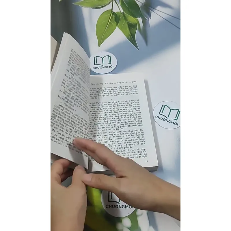 Chị em thù hận 1 695006