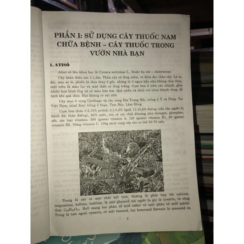 Cẩm nang chăm sóc sức khỏe cho mọi nhà - Hướng dẫn sử dụng cây thuốc và vị thuốc Việt Nam  749051