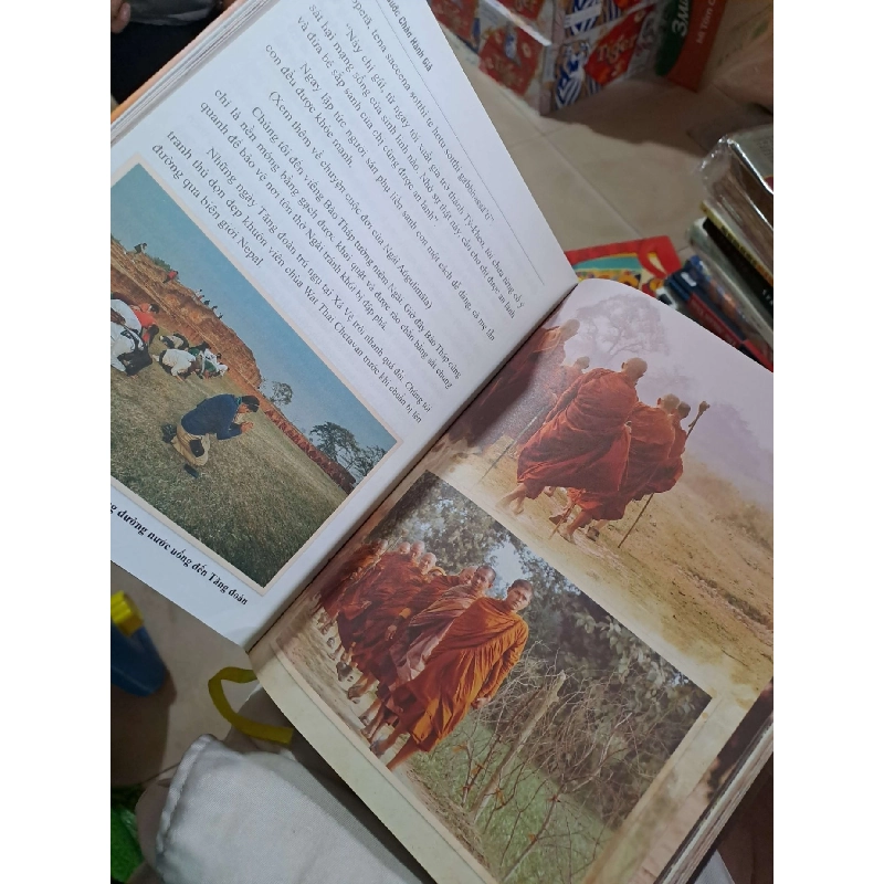 Bước Chân Hành Giả (Bút Ký Hành Trình Đầu Đà Qua Vùng Đất Thiêng Liêng) - Tỳ-kheo Tuệ Nhân - 2024 mới 90% - TÂM LINH - TÔN GIÁO - THIỀN - HCM3012 749836