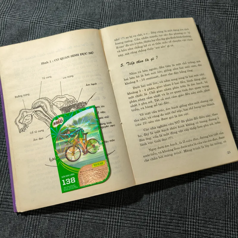 (Giáo dục giới tính cho thanh thiếu niên) Người con gái lấy chồng - BS. Trần Bồng Sơn 697731