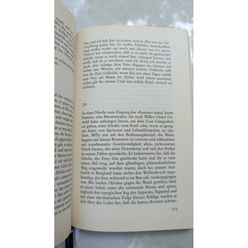 DIE AUFLEHNUNG (SỰ NỔI LOẠN) - SIEGFRIED LENZ 778830