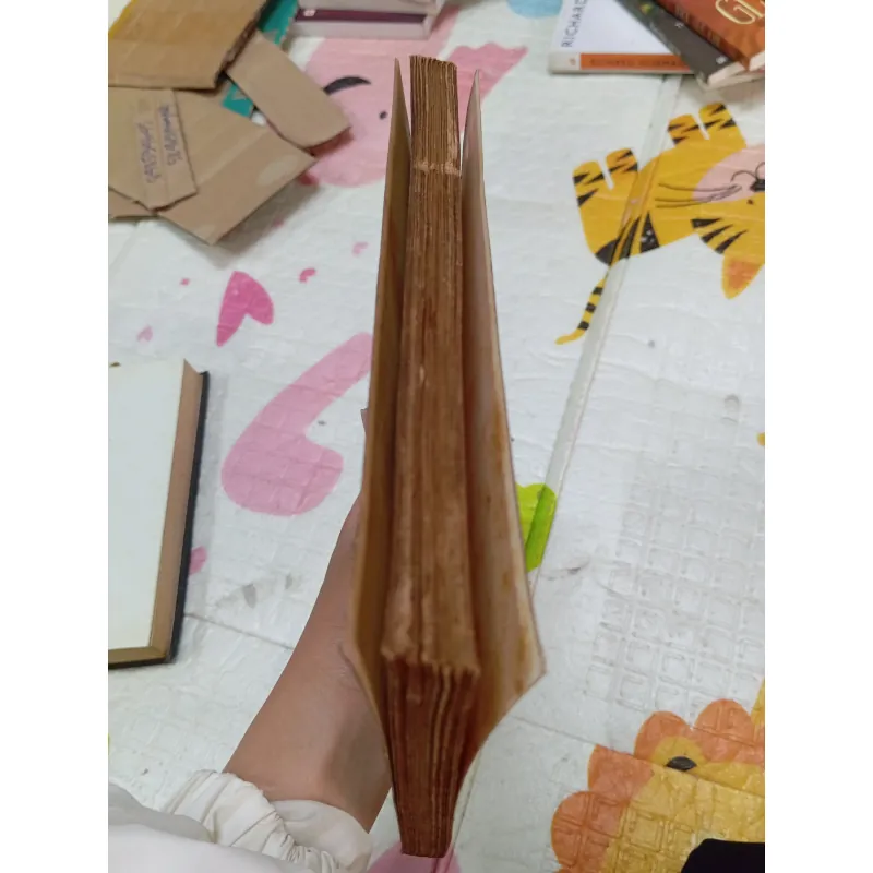Hương Rừng Cà Mau – Sơn Nam | Tác phẩm văn học Nam Bộ kinh điển 958208