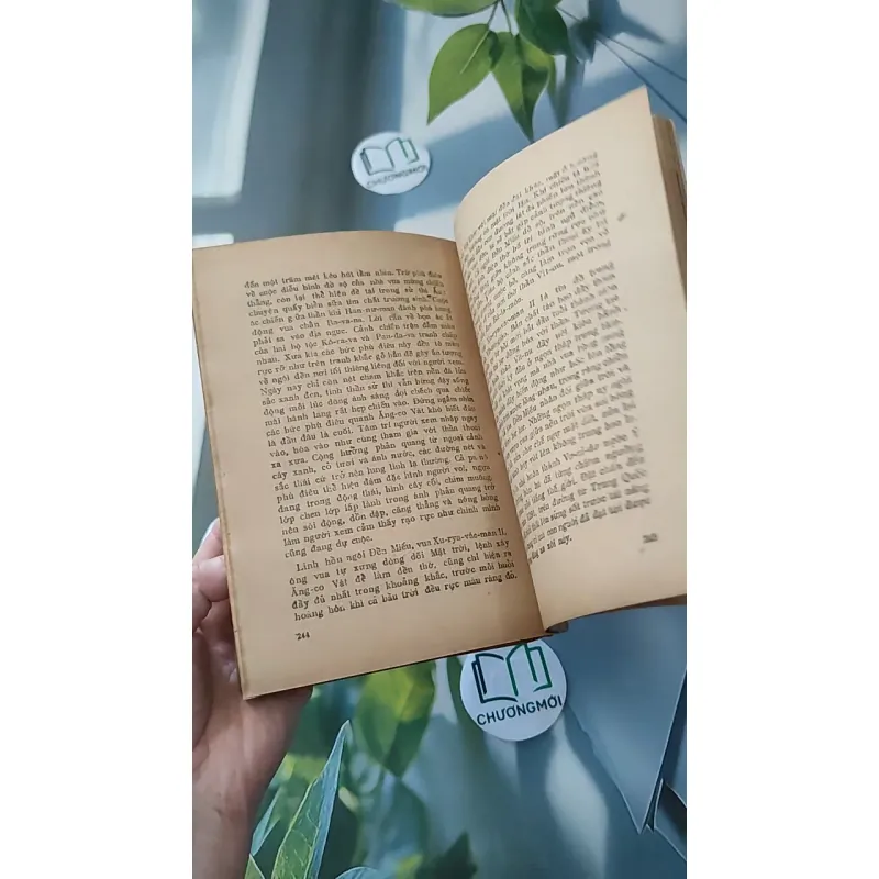 [XƯA] [HIẾM] Xứ Sở Nụ Cười (1984) - Tạ Văn Bảo 997585