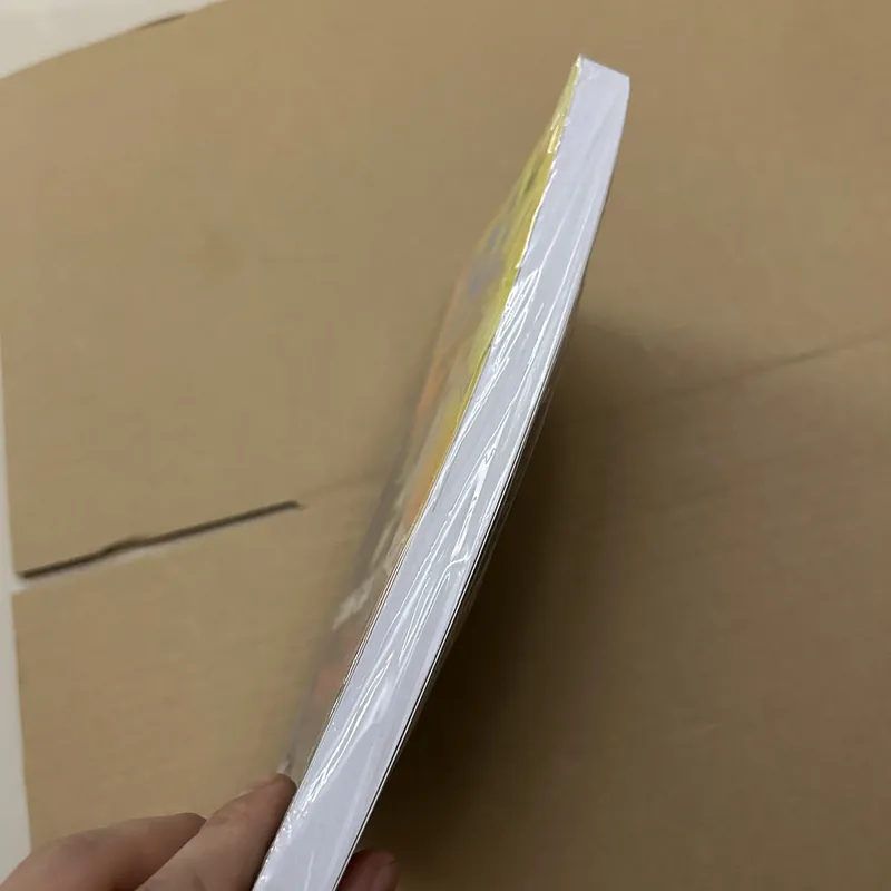 192 hous giành giật sự sống từ chuyến bay định mệnh 569439