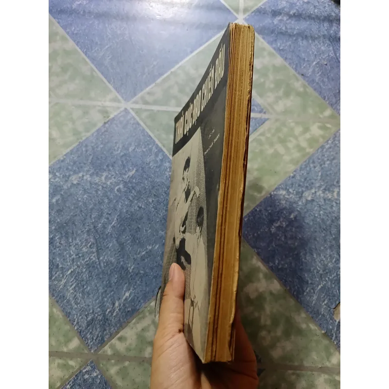 Thái Cực Đạo chiến đấu - Lạc Hà & Phan Chẩn Thanh 998425