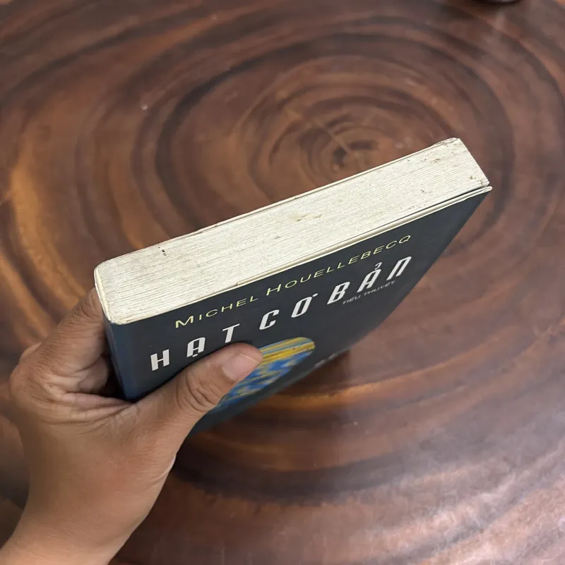 II Tiểu Thuyết: Hạt Cơ Bản - MICHEL HOUELLEBECQ - 2006 976268
