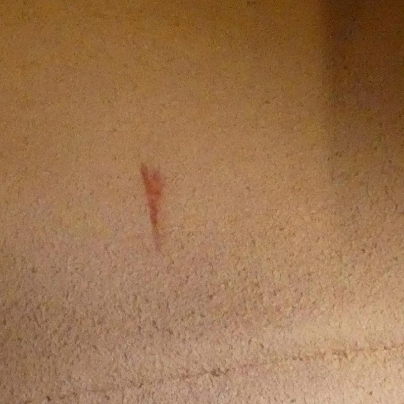 Túi xách vai GG MARMONT 447632 DTD1Y của Gucci - Hàng hiệu Chính hãng 767290