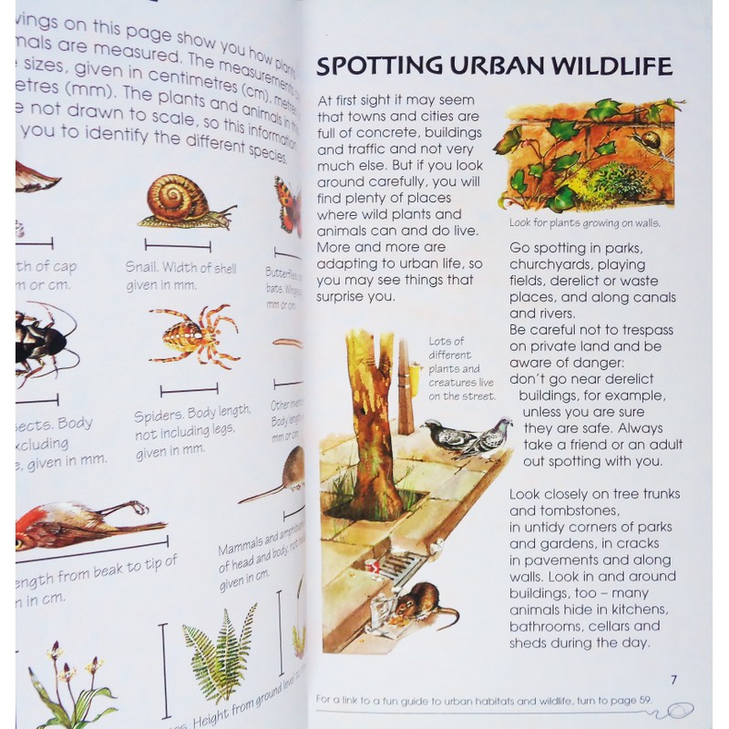 Usborne Spotter's Guides: Urban Wildlife 195143