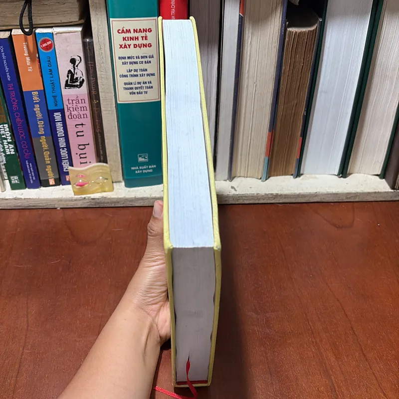 II Sách Hay: Quảng Nam _ Những Vấn Đề Lịch Sử - Nguyễn Duy Sinh - 2013 728548