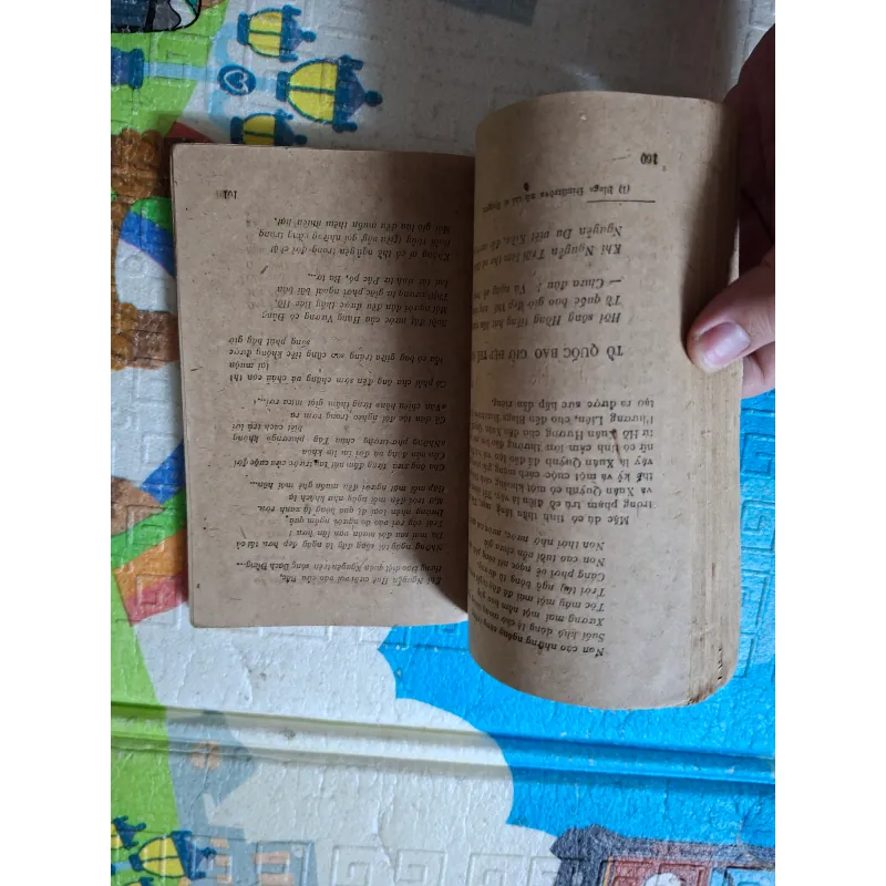 Những Vẻ Đẹp Thơ 995062