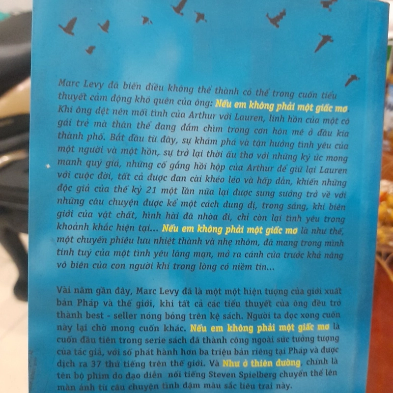 Marc Levy - NẾU EM KHÔNG PHẢI MỘT GIẤC MƠ (sách nhã nam) 378202