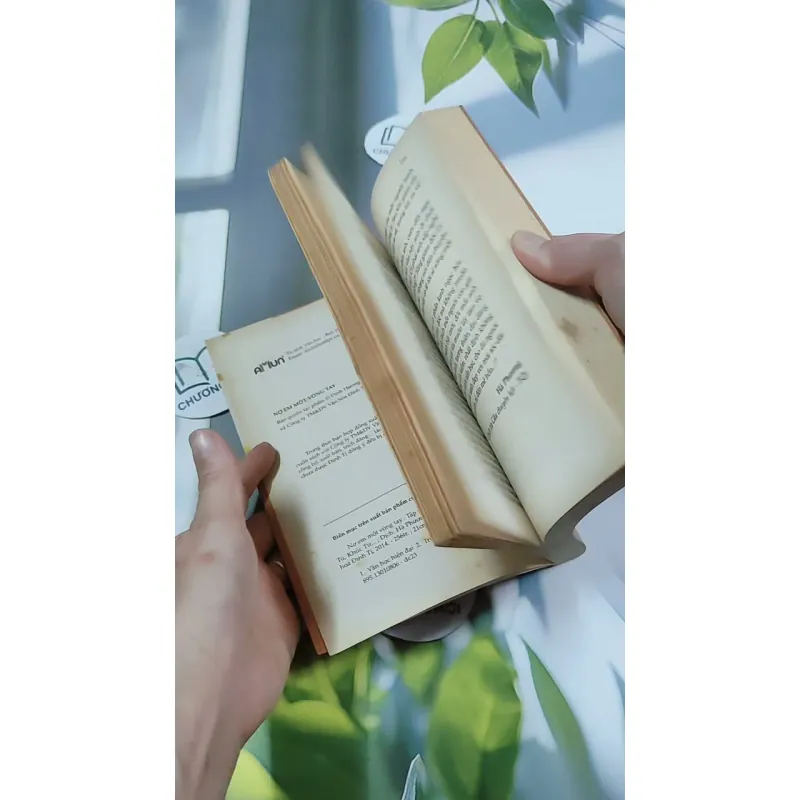 Nợ Em Một Vòng Tay 744713