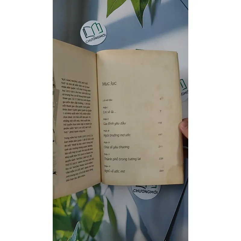 Bay Cao Ước Mơ Tuổi Thơ 798289