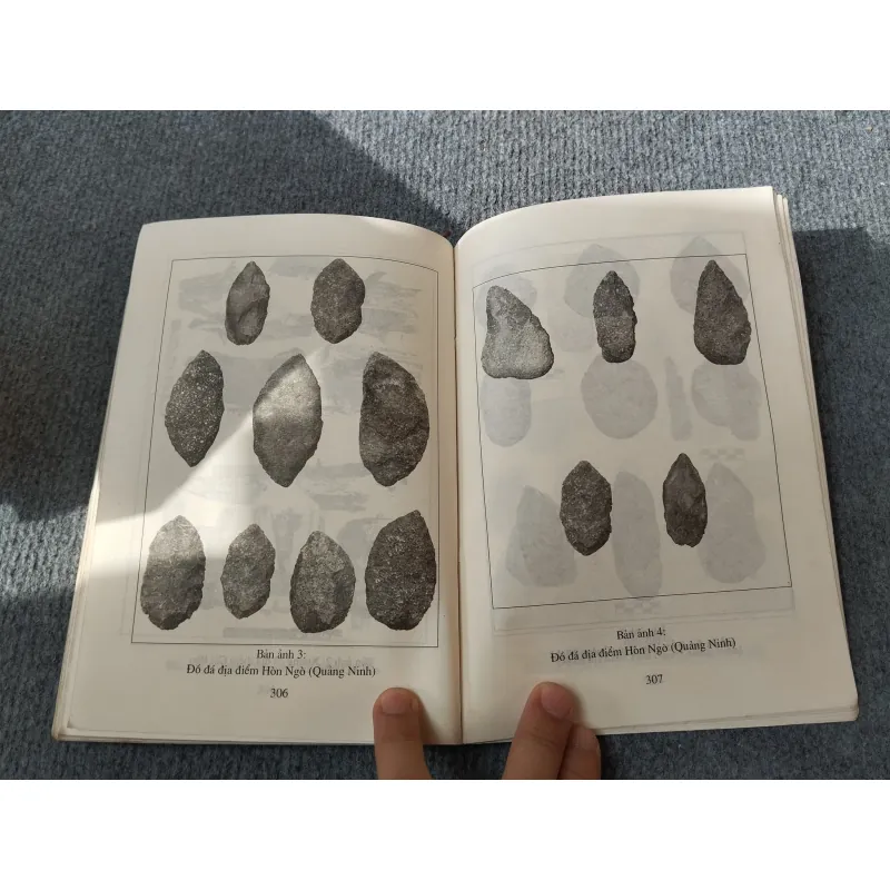 HẠ LONG THỜI TIỀN SỬ 694784