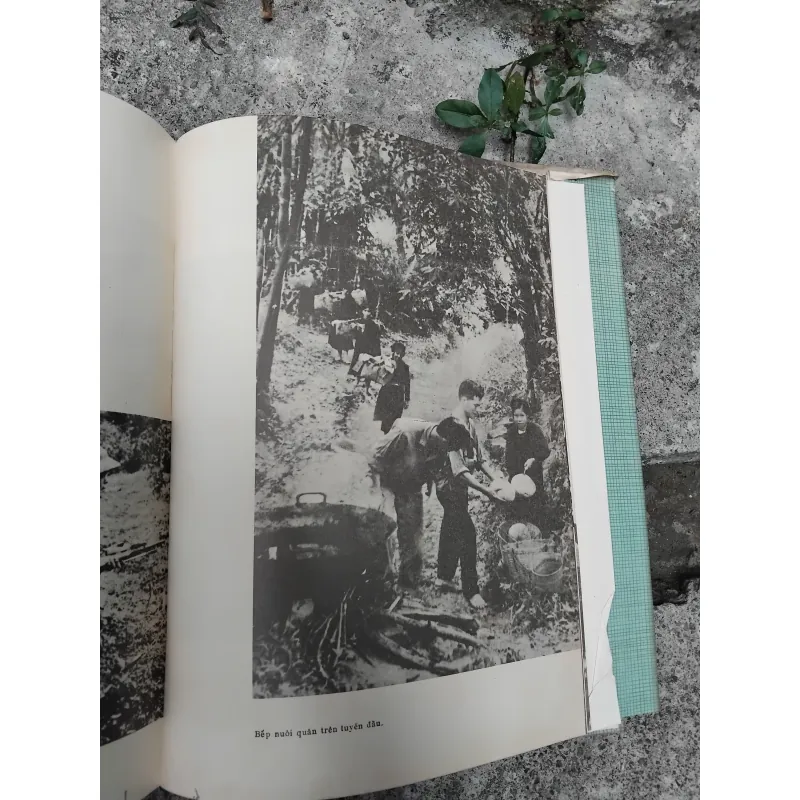 Hậu cần quân đội nhân dân Việt Nam  1028238