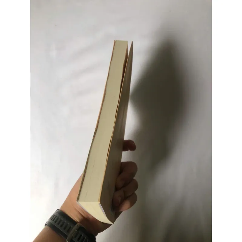 Thành Phố Của Những Chú Mèo Lạc - Tanya Lloyd Kyi 693523