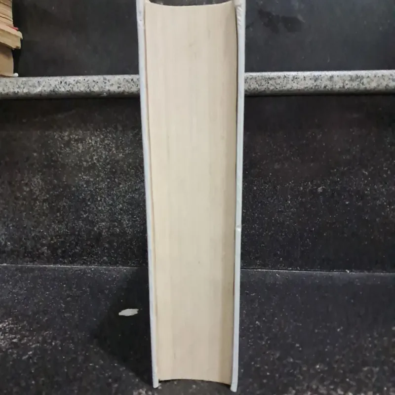 Hán Việt Từ Điển 1002699