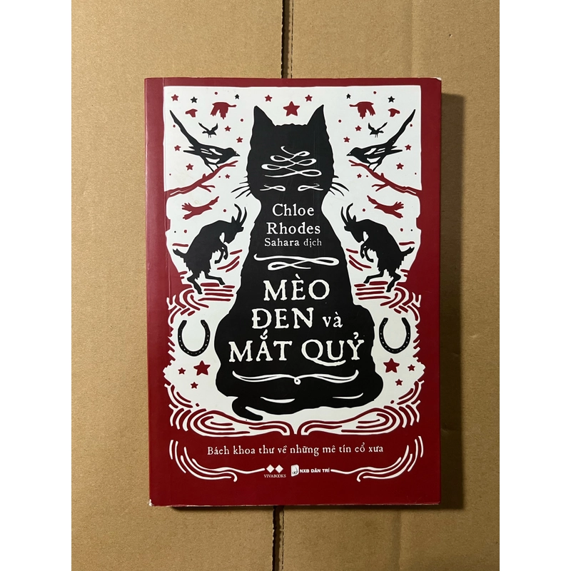 Mèo Đen Và Mắt Quỷ 536550