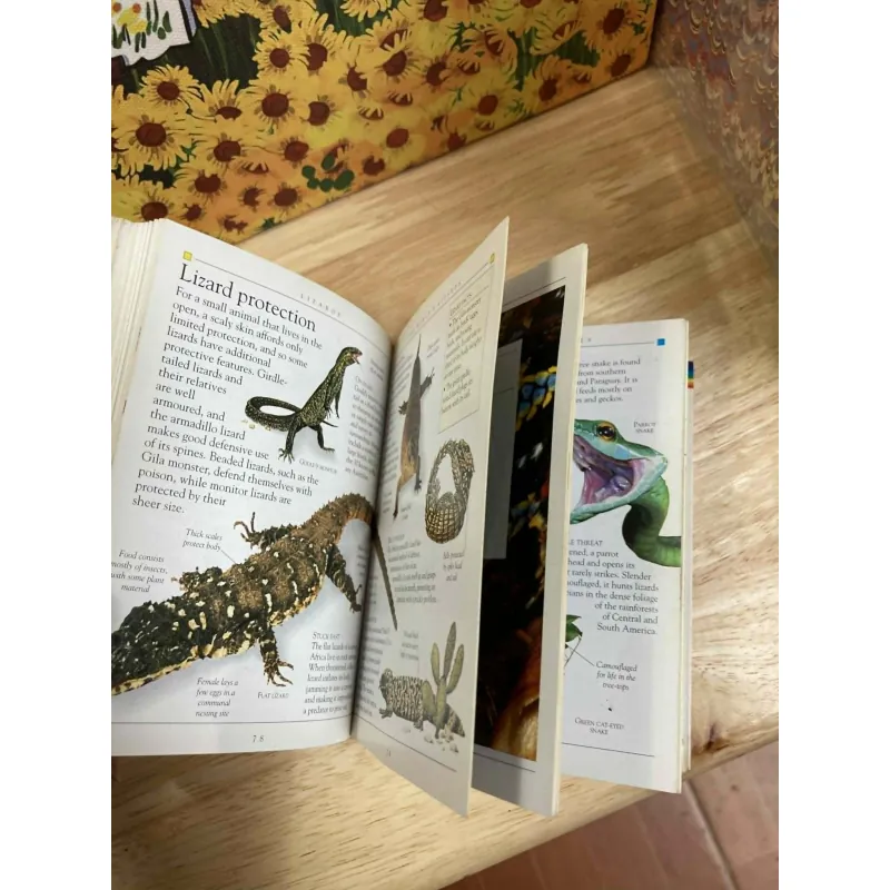 Pockets: Reptiles 1022230