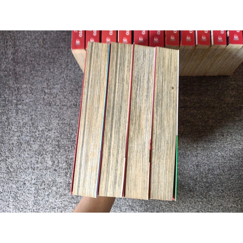 Truyện Gash Cậu Bé Vàng - Trọn Bộ 16 Tập - NXB Kim Đồng 384267