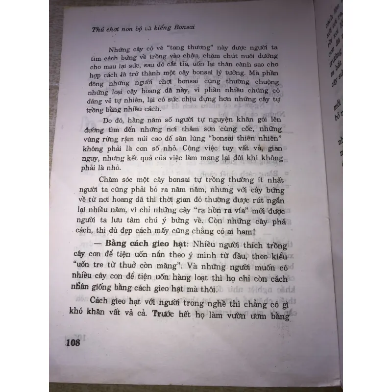 Thú chơi non bộ và kiểng bonsai 970620