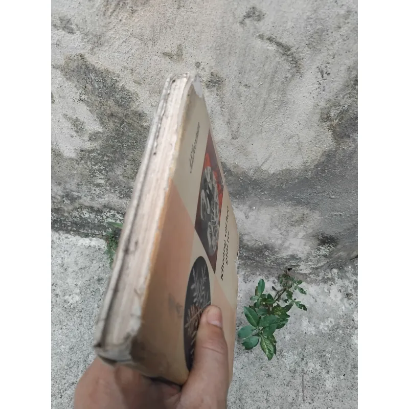 Khoáng vật học giải trí của Fecxman  1025088