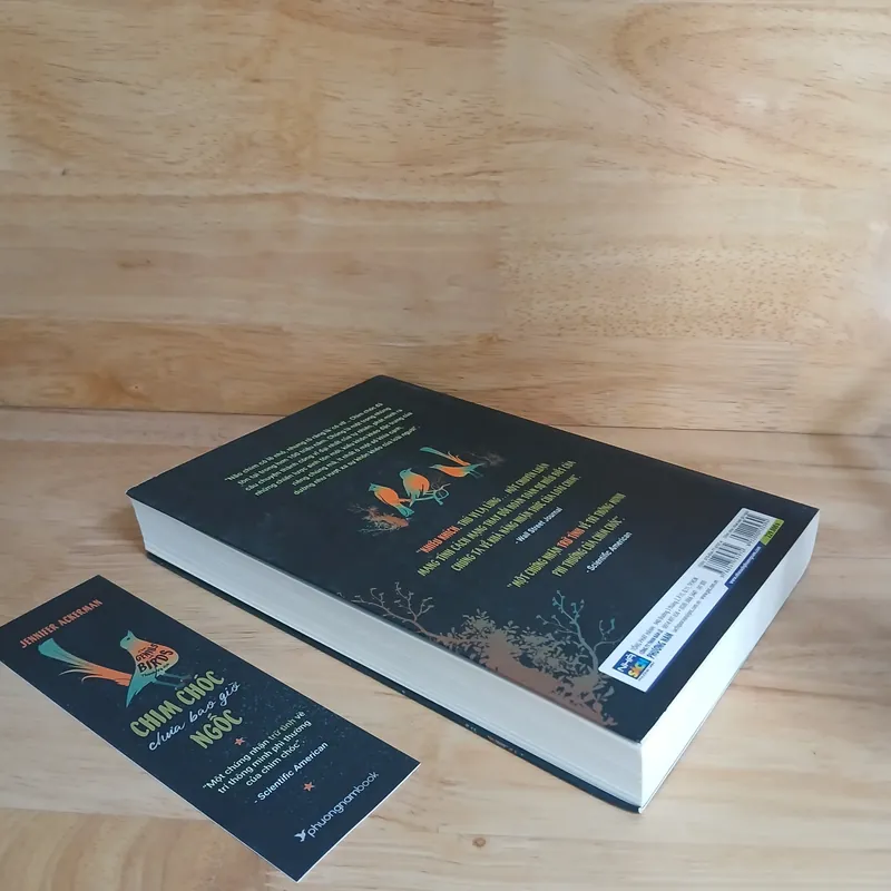 Chim Chóc Chưa Bao Giờ Ngốc - Jennifer Ackerman 739569