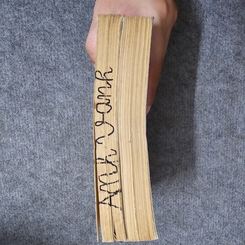 Nảy mầm - Emile Zola 963601