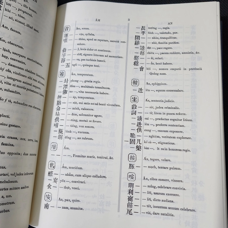 DICTIONARIUM ANAMITICO LATINUM | J.L.Taberd 500141