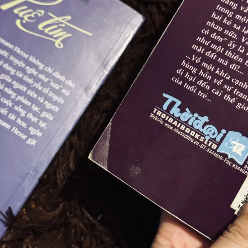 Combo Hermann Hesse 1031592