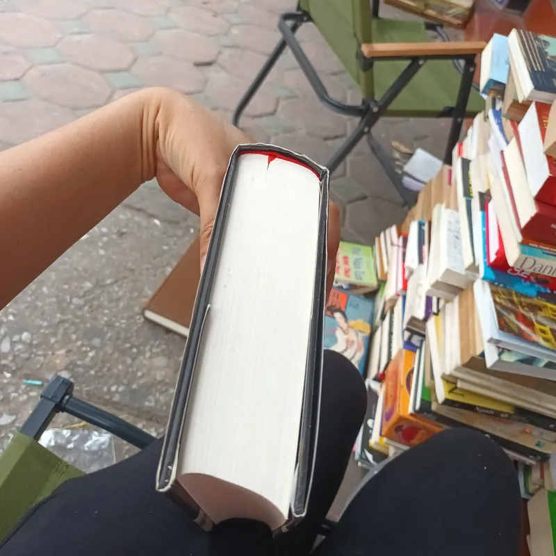 Con Sẻ Vàng- Donnat Tartt 697928