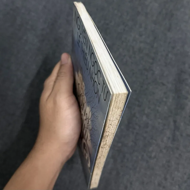 Sống chậm thời @ - Nguyễn Ngọc Tư, Lê Thiếu Nhơn 925877