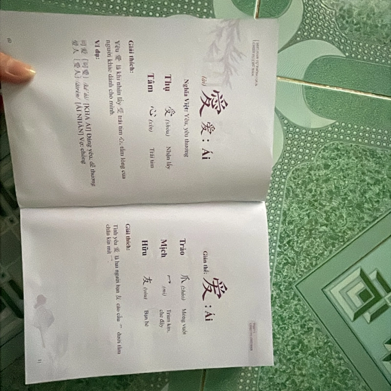 Sách hán tự chữ hán 442806