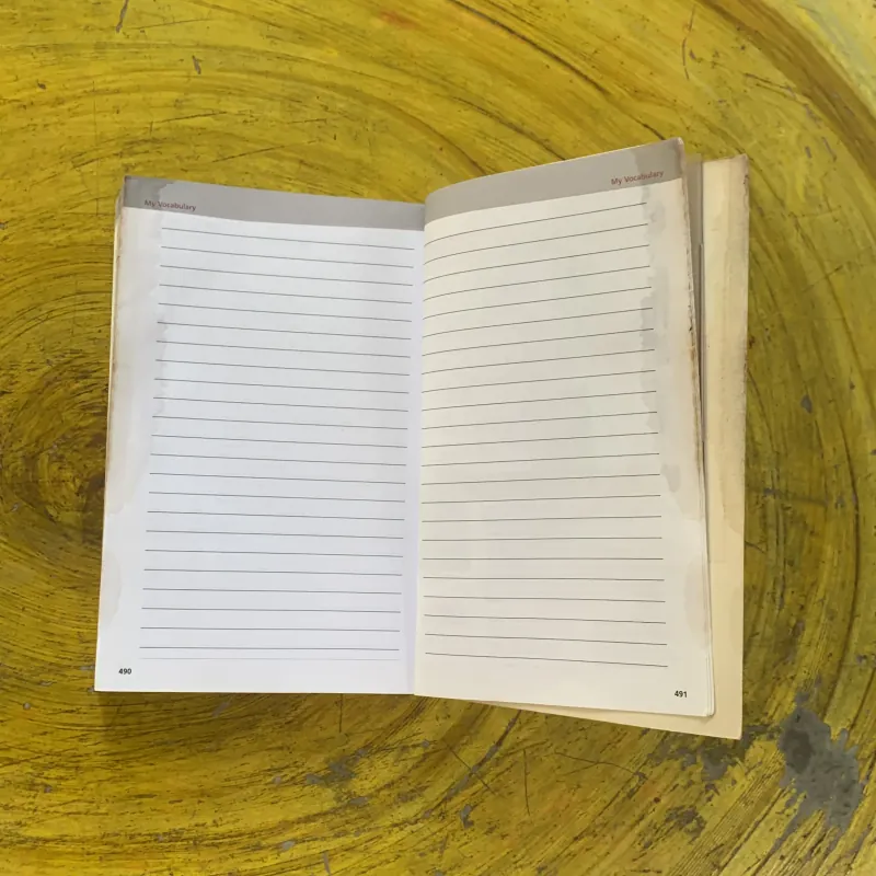 MASTERING SPANISH VOCABULARY- BARRON’S 1029356