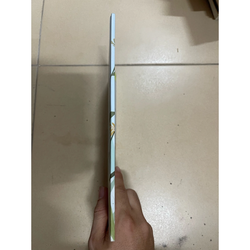 Cái Tết của mèo con 530536