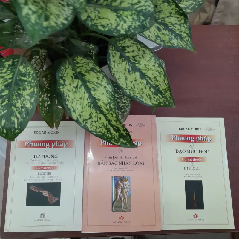PHƯƠNG PHÁP (4,5,6) - EDGAR MORIN (CHU TIẾN ÁNH DỊCH) 706188