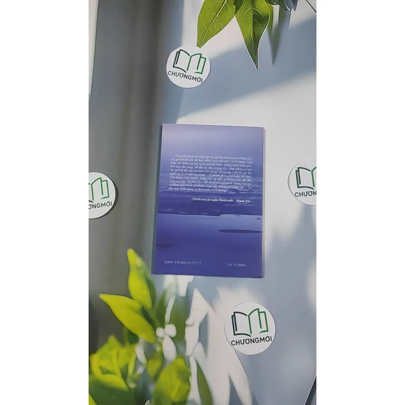 Bông Lục Bình - Mạnh Hà 798483