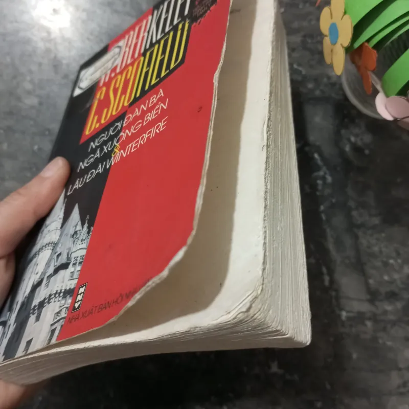 Tiểu Thuyết Lãng Mạn: Người Đàn Bà Ngã Xuống Biển 971039