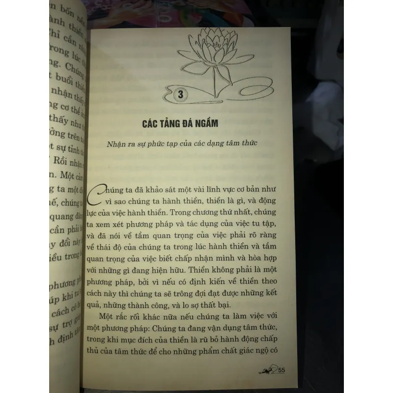 Tâm kim cương - Tâm lý học của việc hành thiền - Rob Nairn 781566