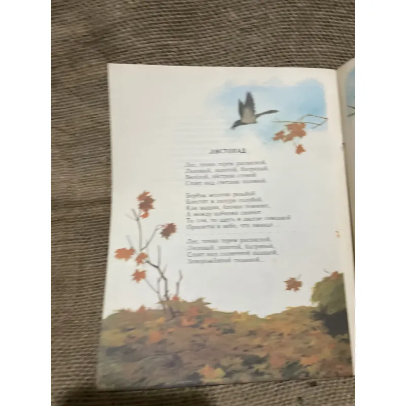 Truyện tranh tiếng Nga- Л.А.БУНИН - ДЕТСТВО 934448