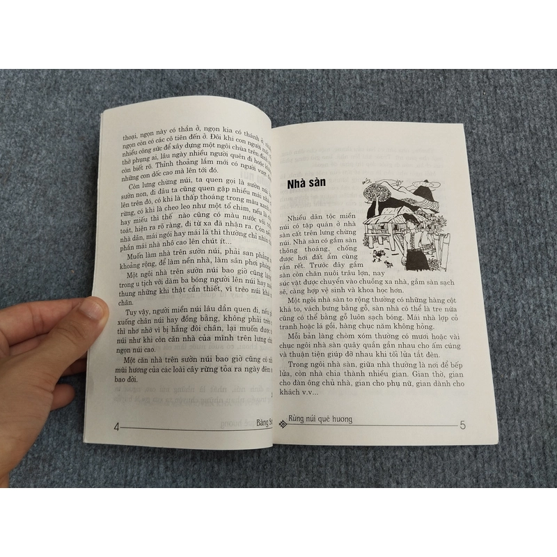 RỪNG NÚI QUÊ HƯƠNG 539791