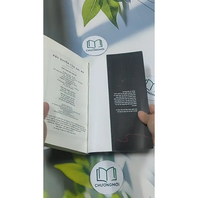 Đặc quyền của gái hư - Kara King 694980