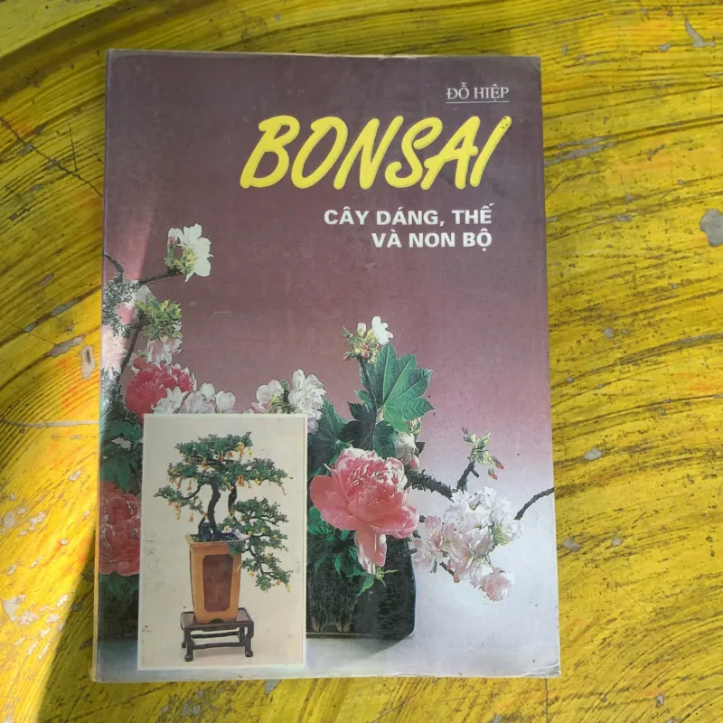  COMBO BONSAI CÂY DÁNG, THẾ VÀ NON BỘ & BONSAI CÂY KIỂNG CỔ 752666