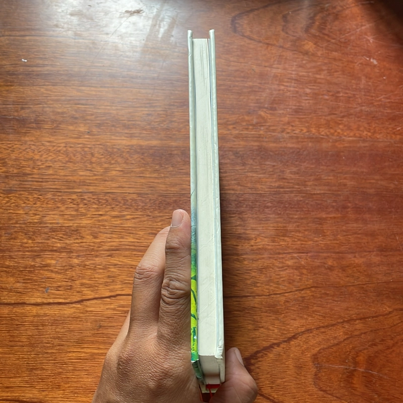 II Sách Bìa Cứng: Hướng Đi Của Đạo Bụt Cho Hoà Bình Và Sinh Môi - Thích Nhất Hạnh - 2020 517171