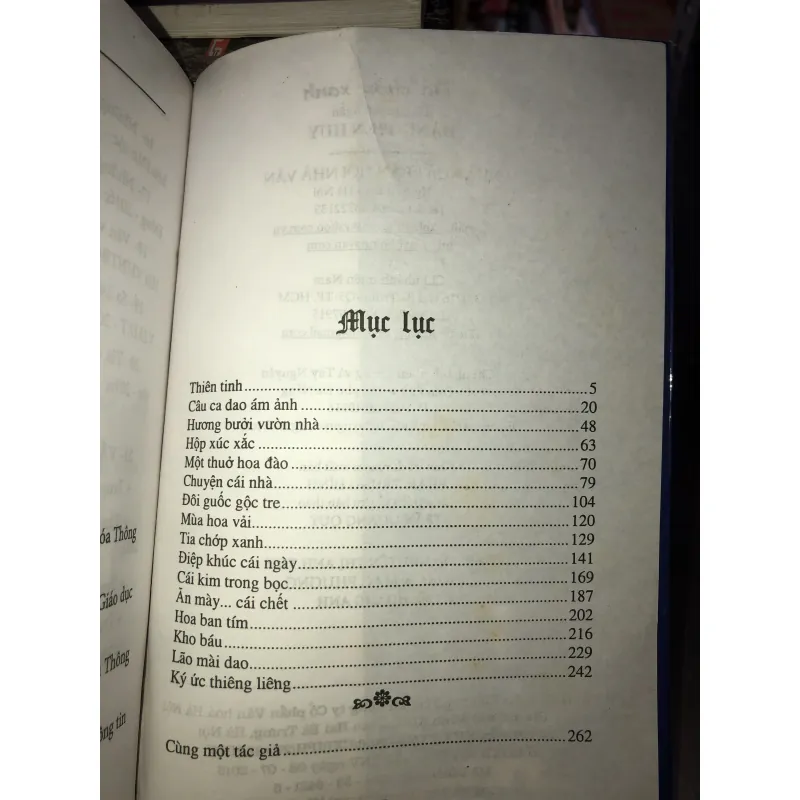 Tia chớp xanh - Đặng Tiến Huy 1011147