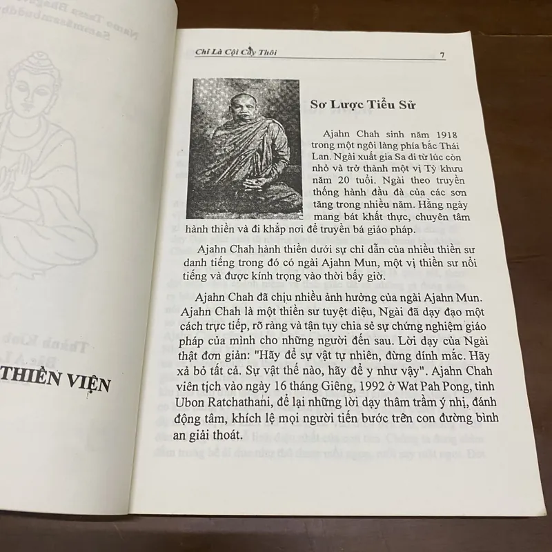 Chỉ là một cội cây thôi 606089